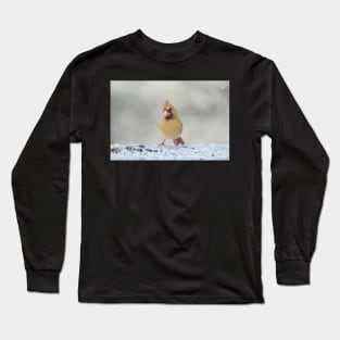 Curious Cardinal Long Sleeve T-Shirt